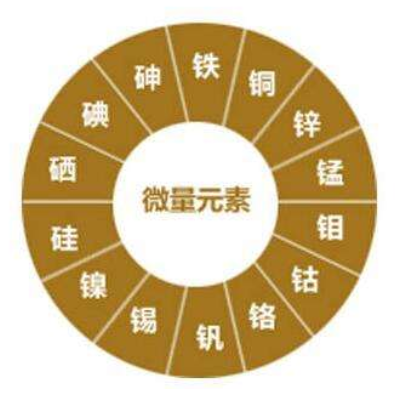 作物生長(zhǎng)需要哪些養(yǎng)料？紅尾鳥(niǎo)農(nóng)業(yè)告訴你！